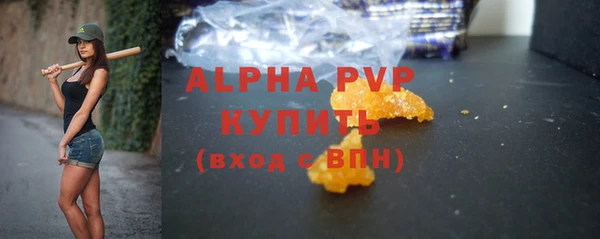 крисы Инсар