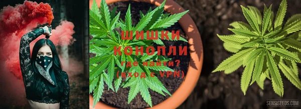 прущая мука Инта