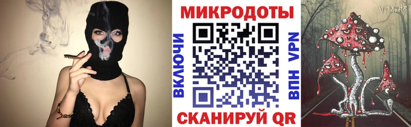 Псилоцибиновые грибы Psilocybine cubensis  Калязин 